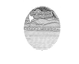 A SANTE trademark