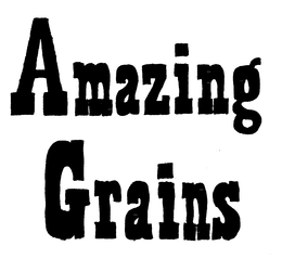 AMAZING GRAINS trademark