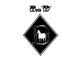 BIG D trademark