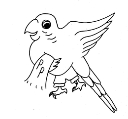 PP trademark