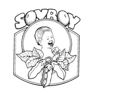 SOYBOY trademark