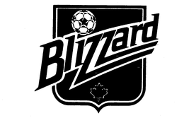 BLIZZARD trademark
