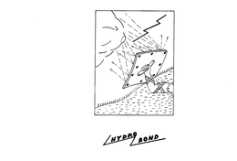 HYDRO BOND trademark