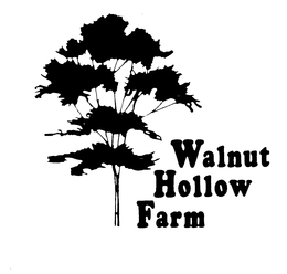 WALNUT HOLLOW FARM trademark