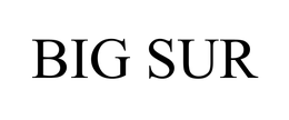 BIG SUR trademark