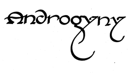 ANDROGYNY trademark