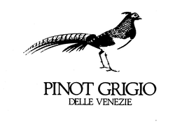 PINOT GRIGIO DELLE VENEZIE trademark
