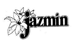 JAZMIN trademark