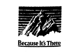 BECAUSE IT'S THERE trademark
