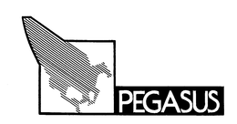 PEGASUS trademark