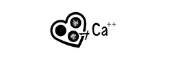 CA++ trademark