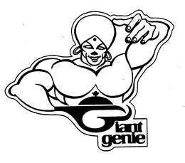 GIANT GENIE trademark