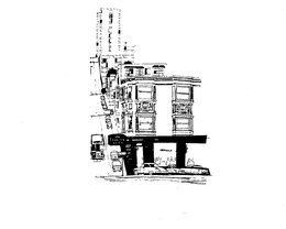 THE BUENA VISTA trademark