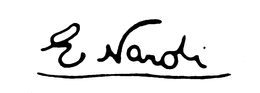 E NARDI trademark