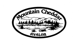 MOUNTAIN CHEDDAR AVALON trademark