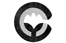 CC COMMUNITY COMMONS trademark