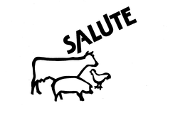 SALUTE trademark