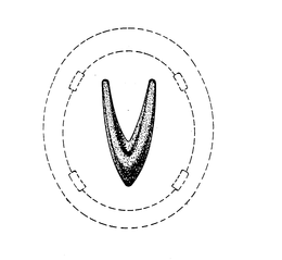 V trademark