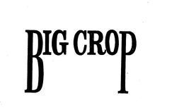 BIG CROP trademark