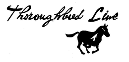 THOROUGHBRED LINE trademark