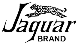 JAGUAR BRAND trademark