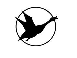 HALF COURT trademark