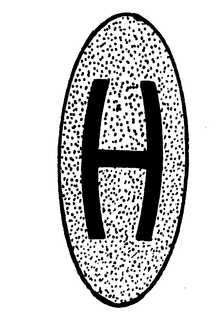 H trademark