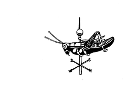 NSEW trademark