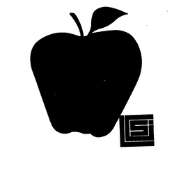 LGSI trademark