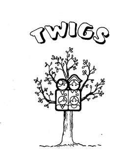 TWIGS trademark