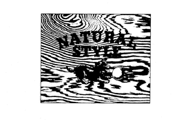 NATURAL STYLE trademark