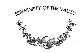 SERENDIPITY OF THE VALLEY trademark