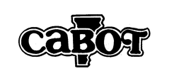 CABOT trademark