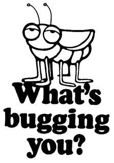 WHAT'S BUGGING YOU? trademark