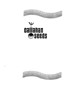 CALLAHAN SEEDS trademark