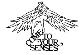 COME TO YOUR SENSES trademark