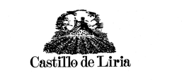 CASTILLO DE LIRIA trademark