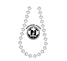 NORTHERN GOOSE trademark