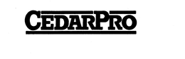 CEDARPRO trademark