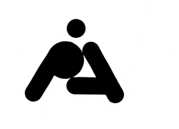 PAI trademark