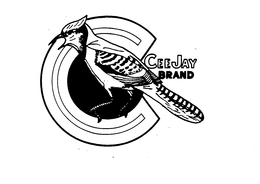 CEE JAY BRAND trademark