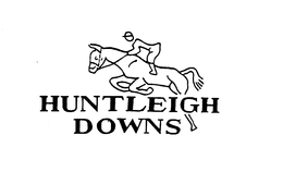 HUNTLEIGH DOWNS trademark