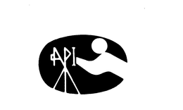 API trademark