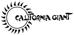 CALIFORNIA GIANT trademark