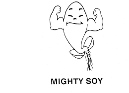MIGHTY SOY trademark