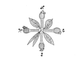 NESW trademark