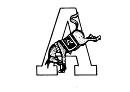 AA trademark