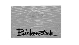 BIRKENSTOCK trademark