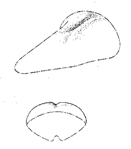 MISCELLANEOUS trademark