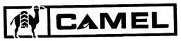 CAMEL trademark